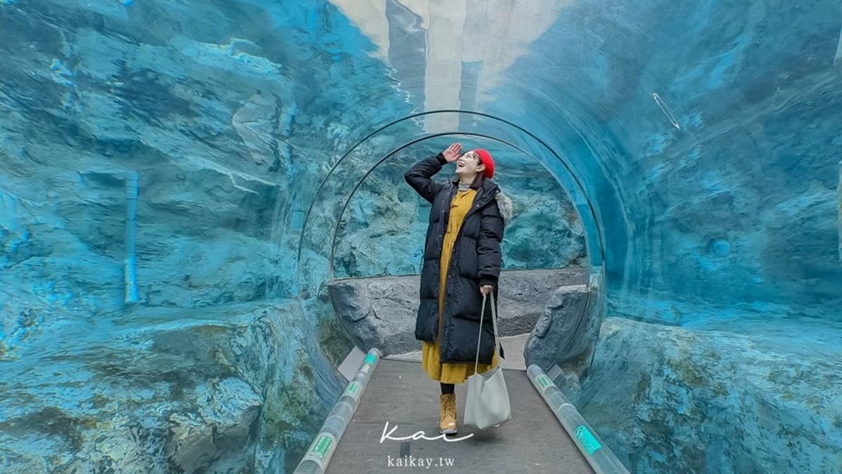 企鵝博物館裡面有個海底隧道，可以看到企鵝在游來游去，很可愛唷！（圖片來源：凱的日本食尚日記）