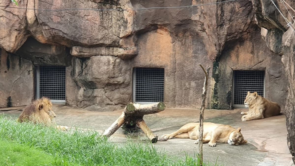 整個園占地不小，建議大家在入園時先拿簡章看看，規畫一下路線。（圖片來源：YUKI'S LIFE）