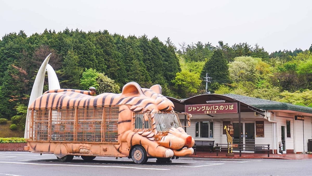 動物園最大的特色就是可以坐動物造型的叢林巴士，去餵食野生動物。（圖片來源：剎有其食）