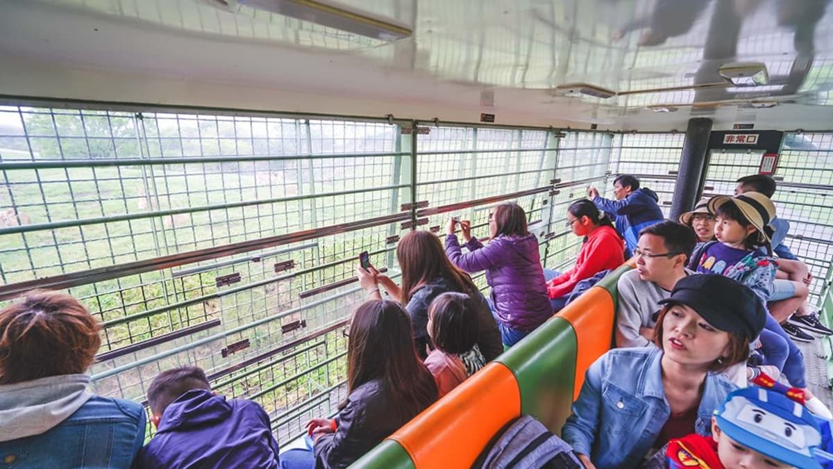 大家可以用長長的夾子把食物夾到車窗外餵動物，對大人和小孩來說都很新鮮。（圖片來源：剎有其食）