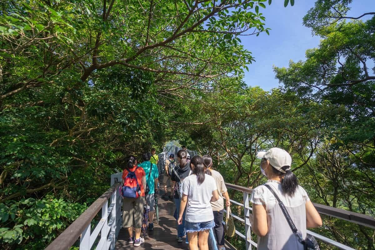 連假免費開逛！雙北２大「快閃市集」：１日限定小農市集、超過50家風格品牌