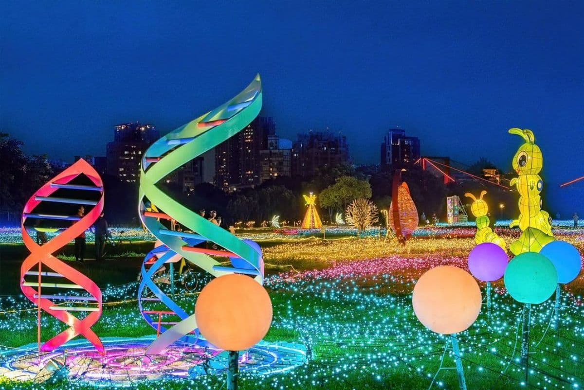 「巨型蝴蝶光雕」美翻！衝板橋公園搶拍巨萌白兔、星空草皮，美食市集也要逛