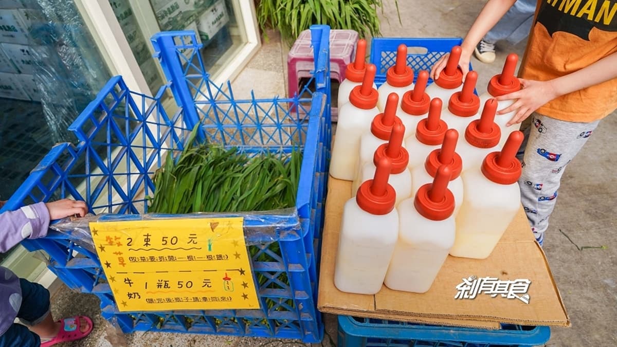 牧場有開放餵牛，不過專用的牧草、牛奶要去販賣部購買。（圖片來源：剎有其食）