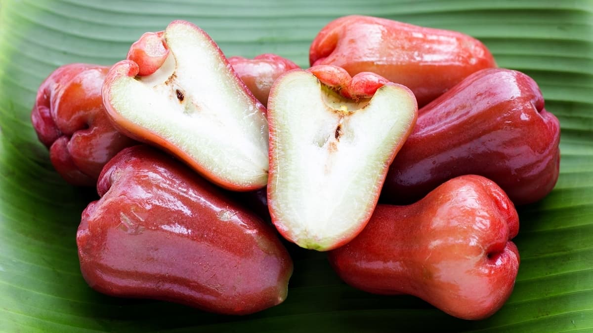 「蓮霧鑲肉湯」真有這道菜？老饕認證：名菜！超好吃，還能炒肉片
