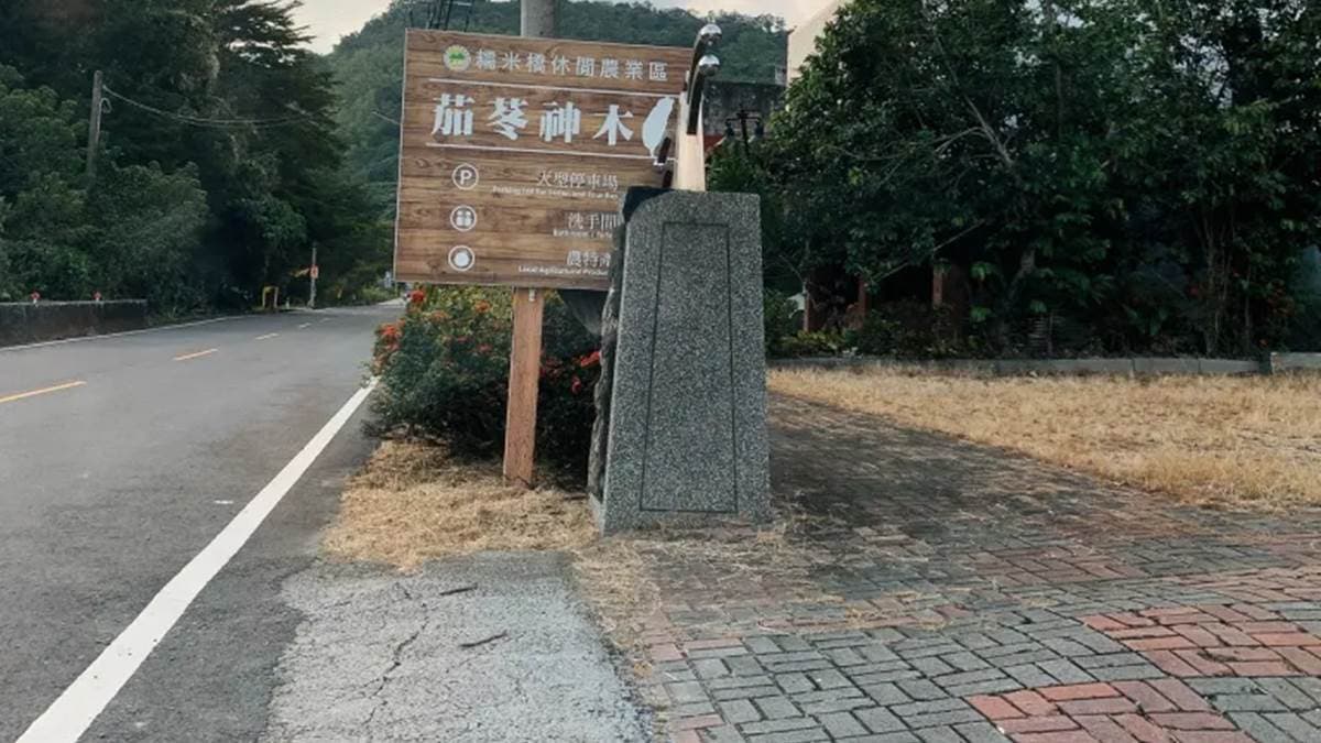 茄苳樹公停車場外有明顯的看板指引入內。（圖片來源：Blanca C）