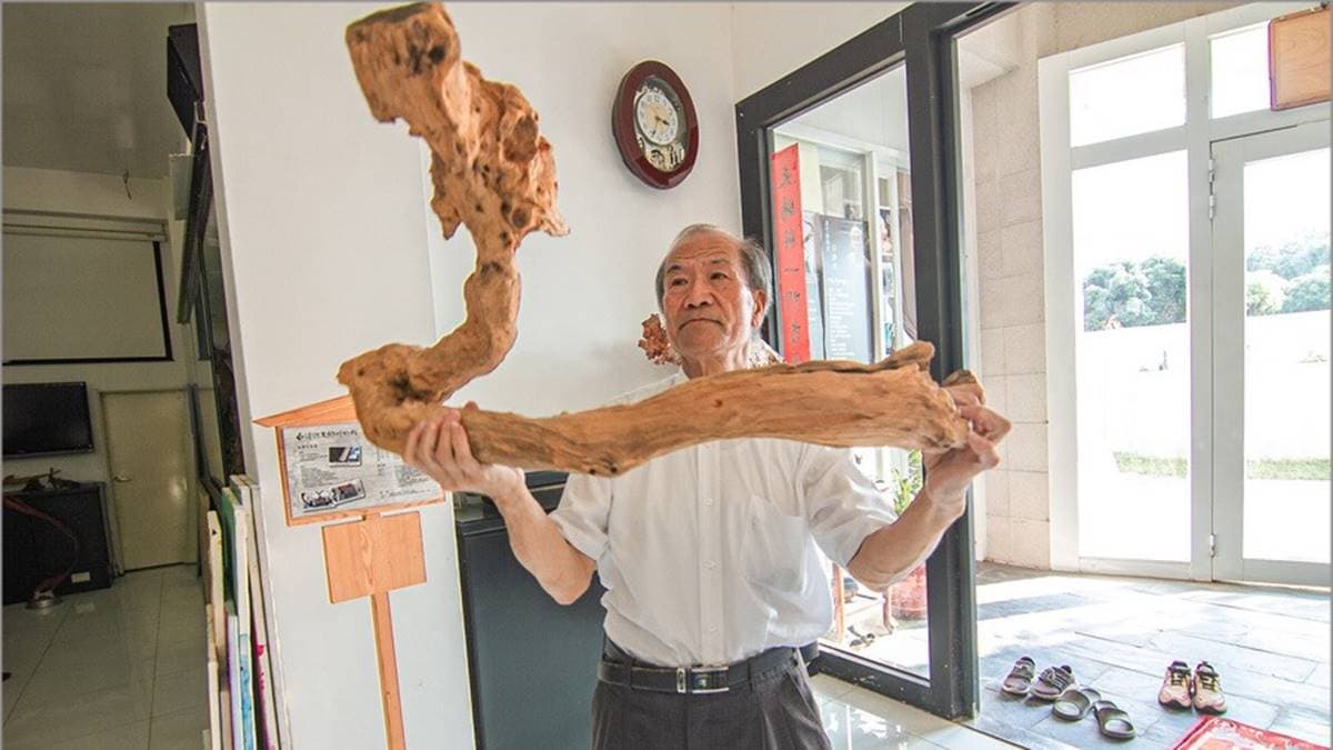 說是朽木，但到白老師手中就變成活靈活現的龍。（圖片來源：13’s幸福食光）
