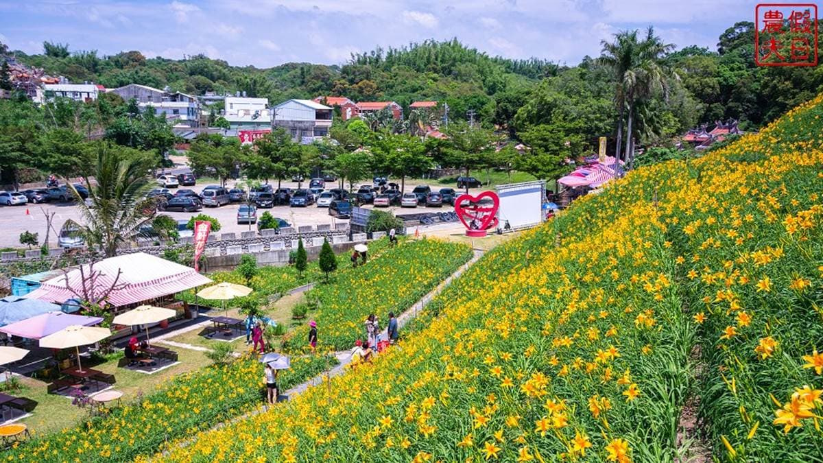 「虎山巖金針花」位於虎山巖旁的山坡上，備有免費停車場。（圖片來源：假日農夫愛趴趴照）