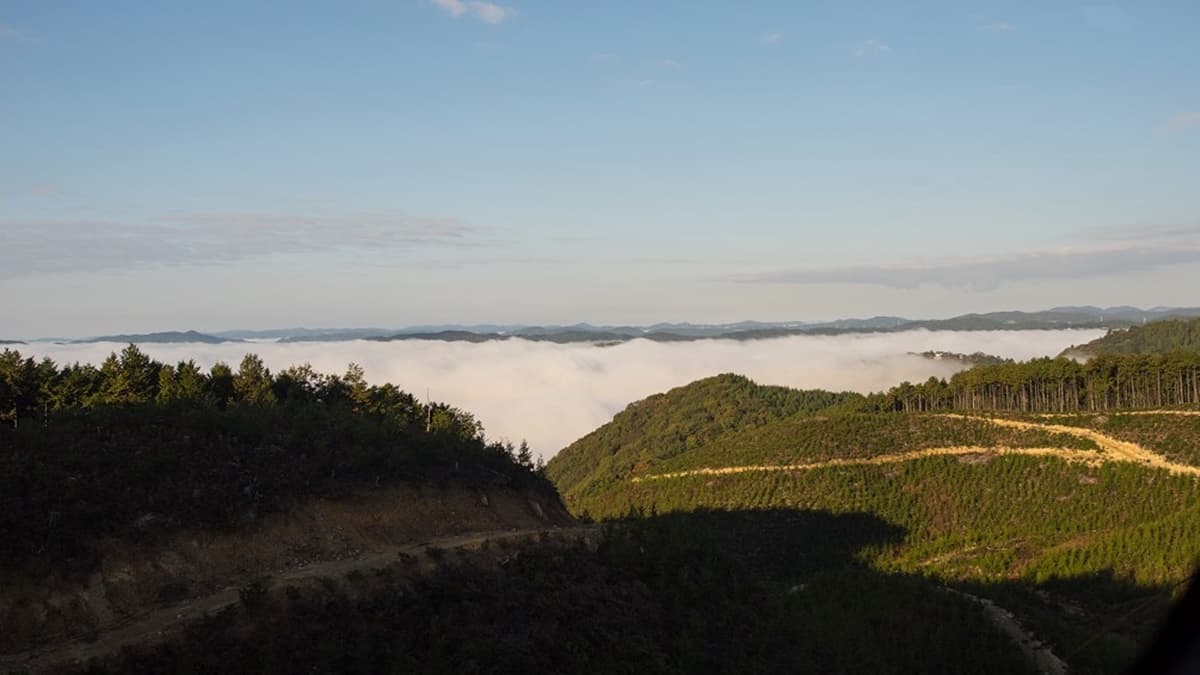 抵達「備中松山城」展望台前，路邊就可以看到滿滿的大雲海，相當期待。（圖片來源：假日農夫愛趴趴照）