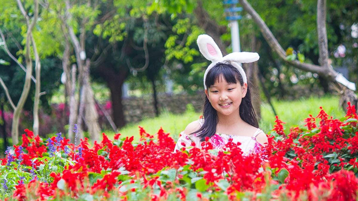 公園內也有種植一串紅，顏色很鮮豔，相當亮眼。（圖片來源：史努比遊樂園）