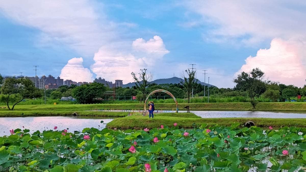 荷花綻放地十分美麗，周邊的景色也相當優美。（圖片來源：花洛米一起去玩耍）