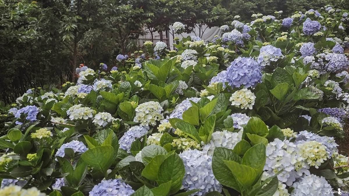 陽光休閒農莊