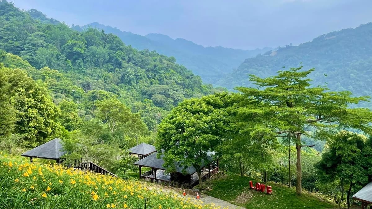 農場占地約７公頃，而金針花種植面積大概在１～２公頃左右。（圖片來源：沐心泉休閒農場）