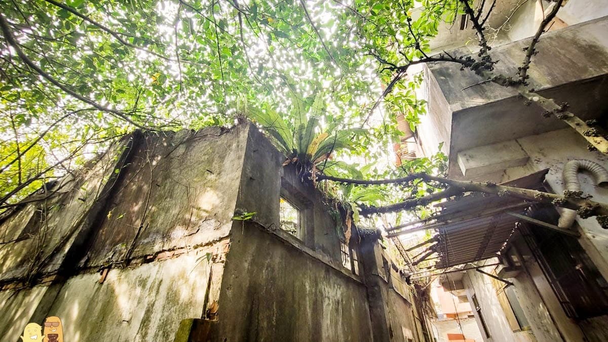 「東和戲院遺址」很適合從綠意盎然的地方往外拍。（圖片來源：D&W黑白雙搭）