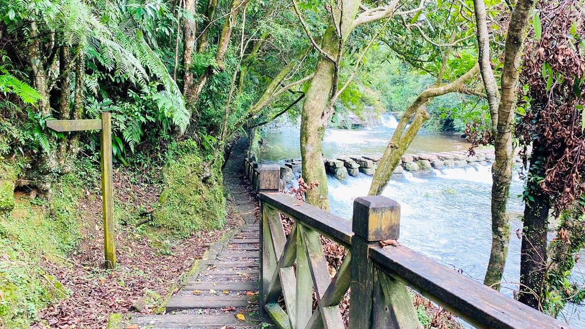 踏入「虎豹潭」步道，沿路都有溪流的潺潺陪伴。（圖片來源：森の野餐女王）