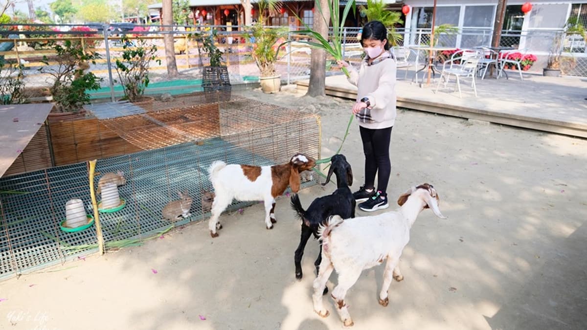 農場裡飼養了草泥馬、天竺鼠、小羊、兔子等可愛小動物。（圖片來源：YUKI'S LIFE）