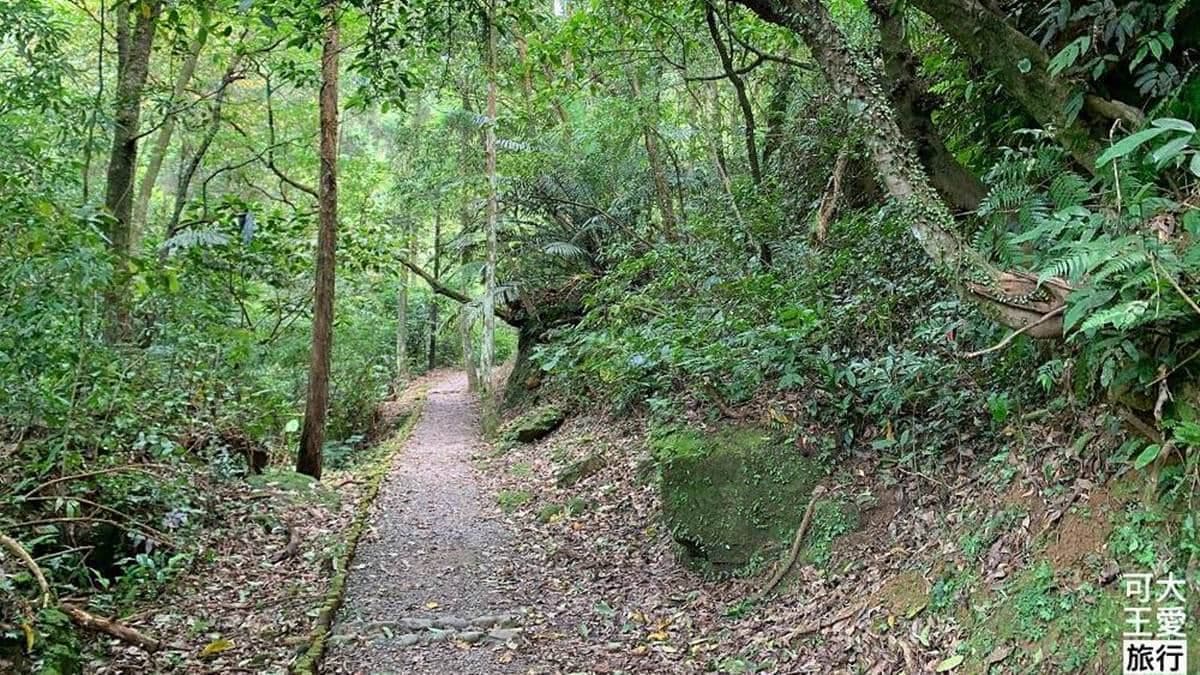 夏天來這裡親近自然，避暑又舒適。（圖片來源：可大王愛旅行）