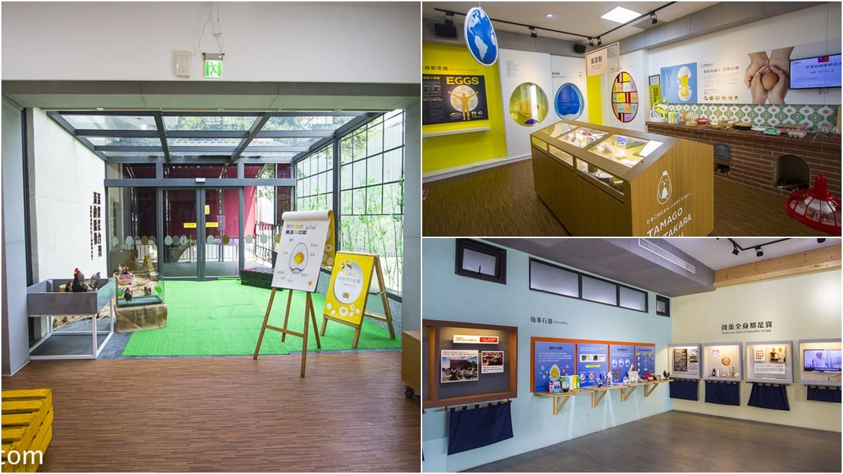 桃園不是旅遊沙漠！平鎮區６處私房景點：萬坪清水模公園、免門票、小木屋野餐