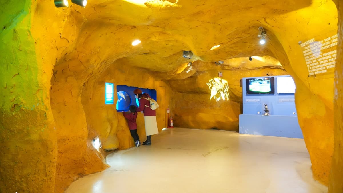 「海底隧道探索館」展示多種台灣沿岸魚類，旁邊有解說牌可以了解其習性。（圖片來源：卡夫卡愛旅行）
