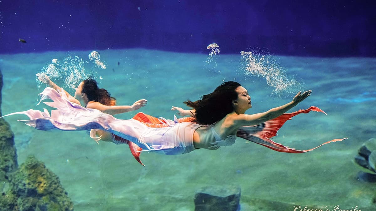 海洋劇場的「美人魚秀」，表演結束後遊客可以透過魚缸跟美人魚合照。（圖片來源：瑞貝卡一家）