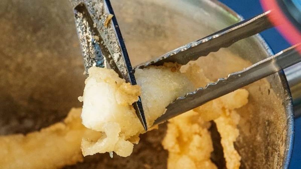 這裡的魷魚鬚不只嫩彈還很多汁，魷魚肥肥的地方軟Q有彈性。（圖片來源：傻妞吃台南）