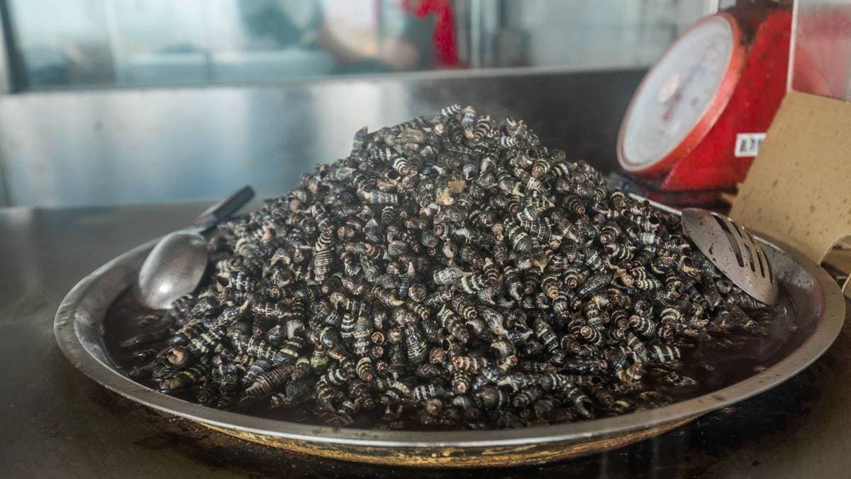 燒酒螺跟鳳螺也是老饕推薦必買。（圖片來源：大手牽小手。玩樂趣）