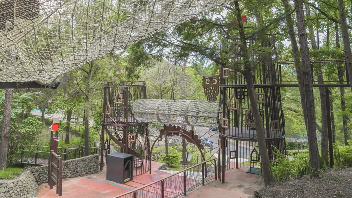 東勢林場遍布許多綠色植栽，非常清涼。（圖片來源：優尼太太）