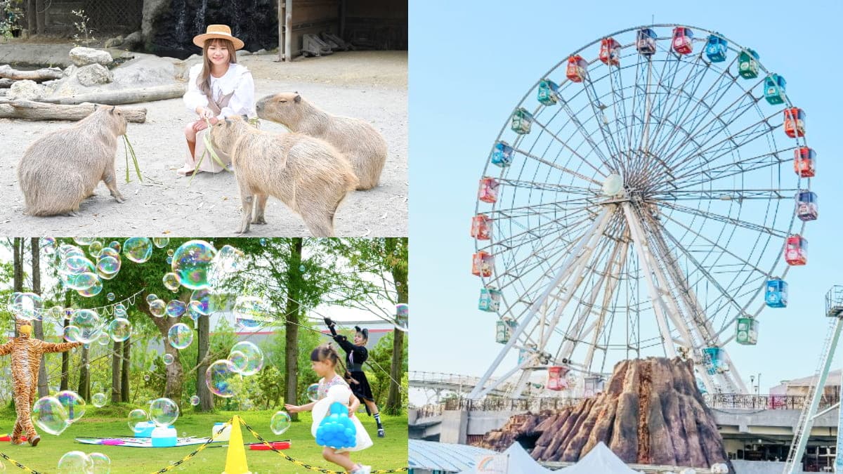 連假出遊省荷包！全台10大親子景點優惠：對身分證「免費入園」、買票換好禮