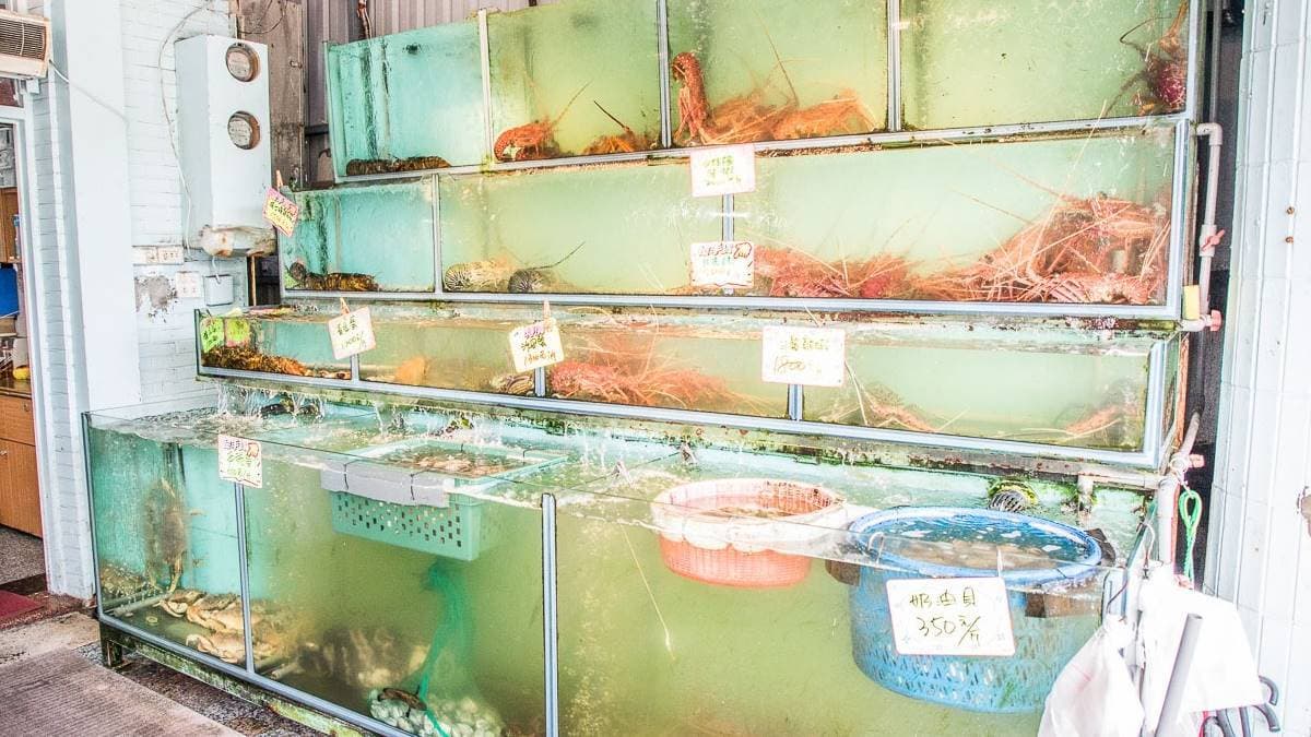 店外有超大的活水水族箱放活體海鮮，現場選海鮮會直接秤重報價。（圖片來源：大手牽小手玩樂趣）