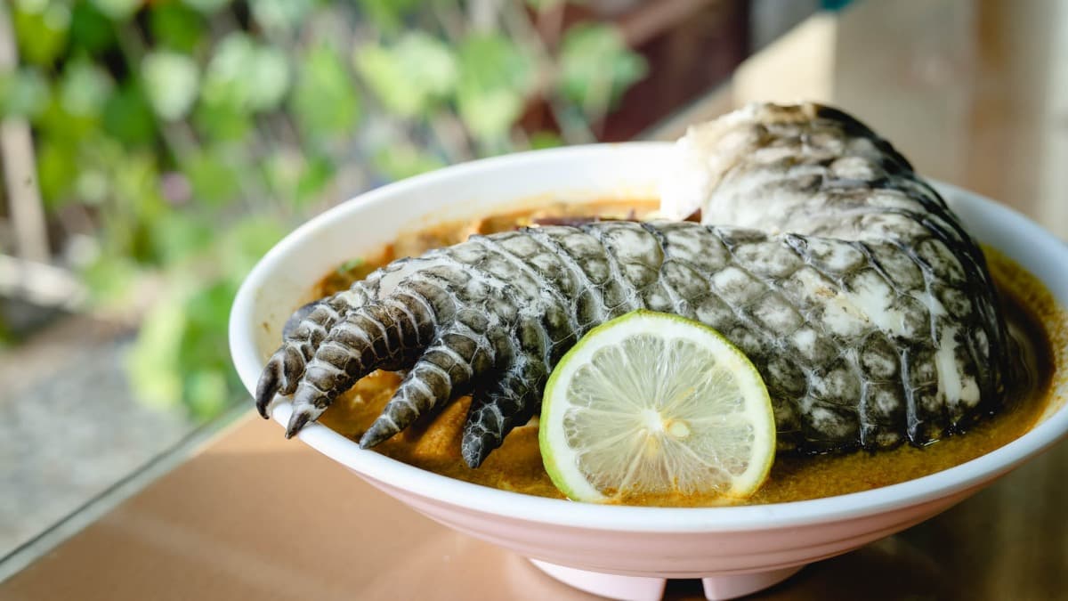 女巫貓葵(斗六店)