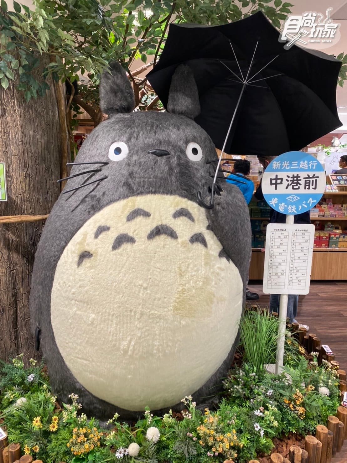 台中人先衝！「橡子共和國」台中中港店大改裝，巨大貓巴士睡袋、送龍貓杯墊