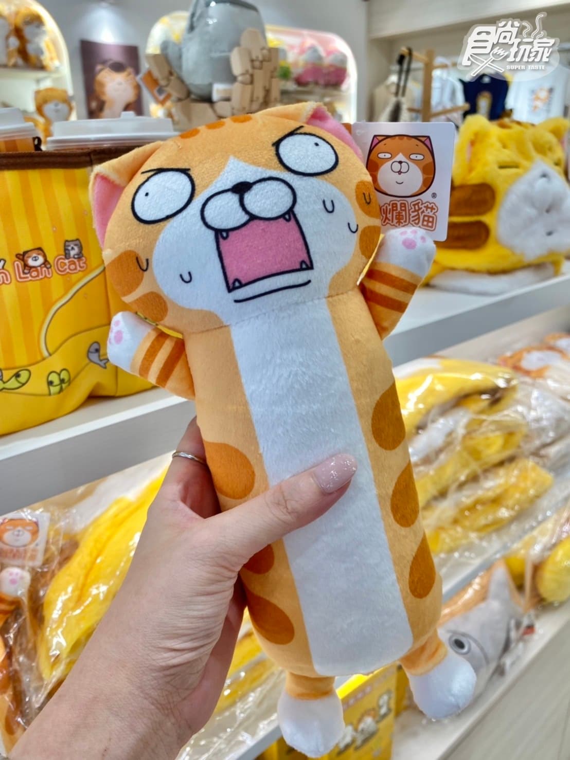 白爛貓開實體店了！免費逛「白爛貓雜貨舖」５亮點：最萌新品、雞蛋糕、霜淇淋