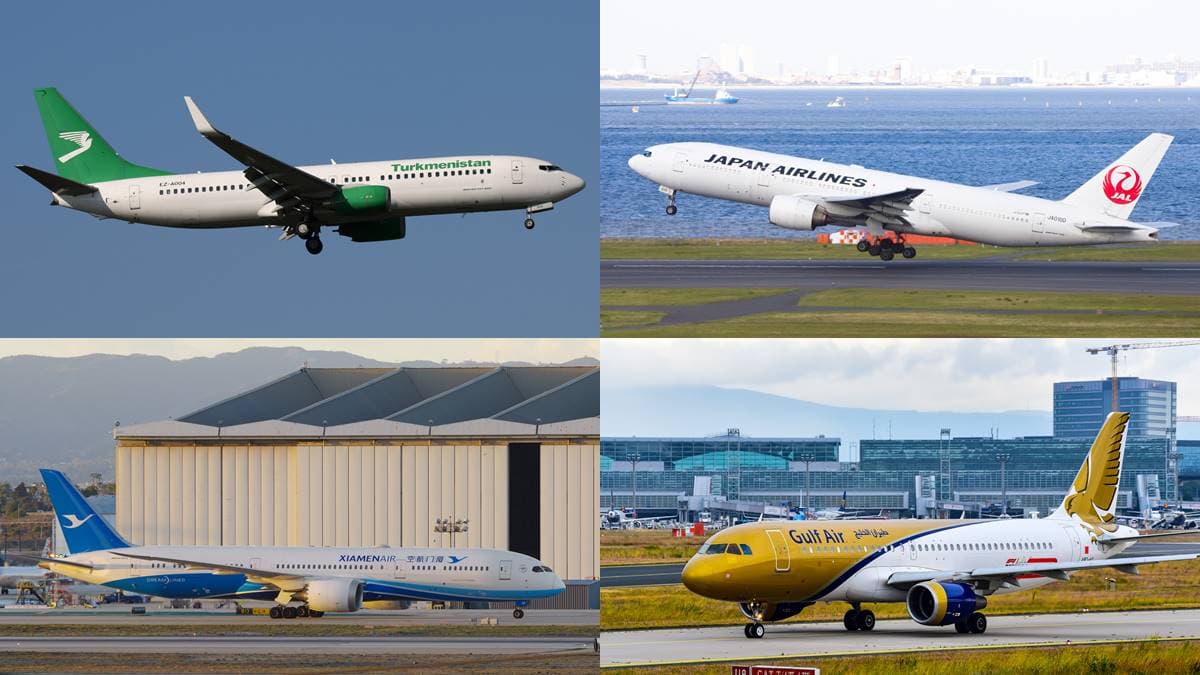 今年出國了沒？各國飛機Logo揭祕，鳥類圖案「這航空」台灣人一定坐過