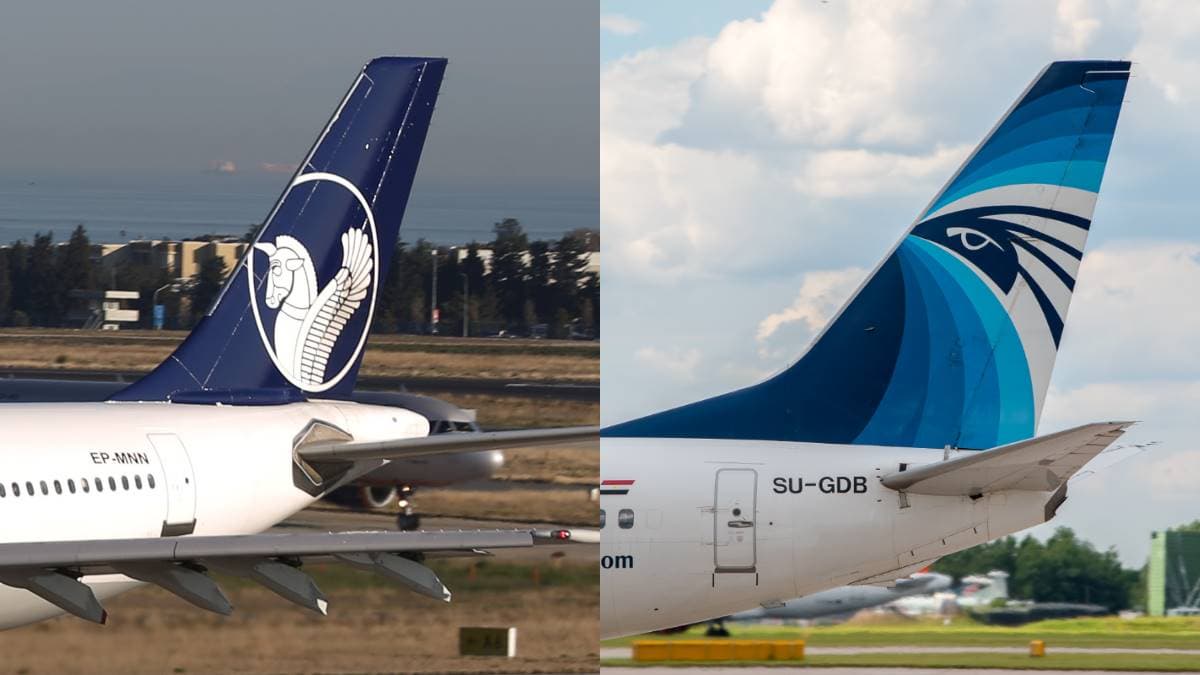 今年出國了沒？各國飛機Logo揭祕，鳥類圖案「這航空」台灣人一定坐過