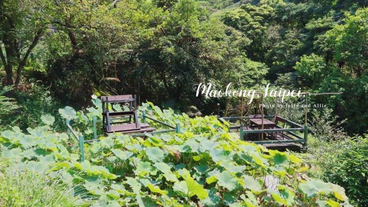 愈靠近壺穴吊橋的山區，蚊蟲也愈多，千萬要記得噴防蚊液。（圖片來源：又要飛去哪！？）
