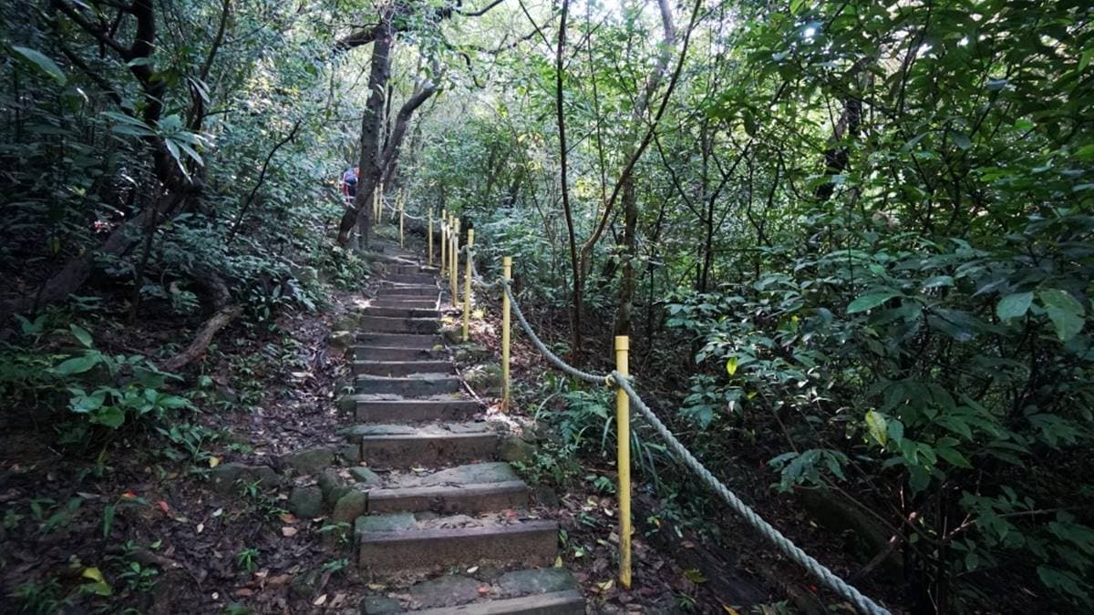 步道的樓梯建置完善，階梯落差適宜。（圖片來源：17jump）