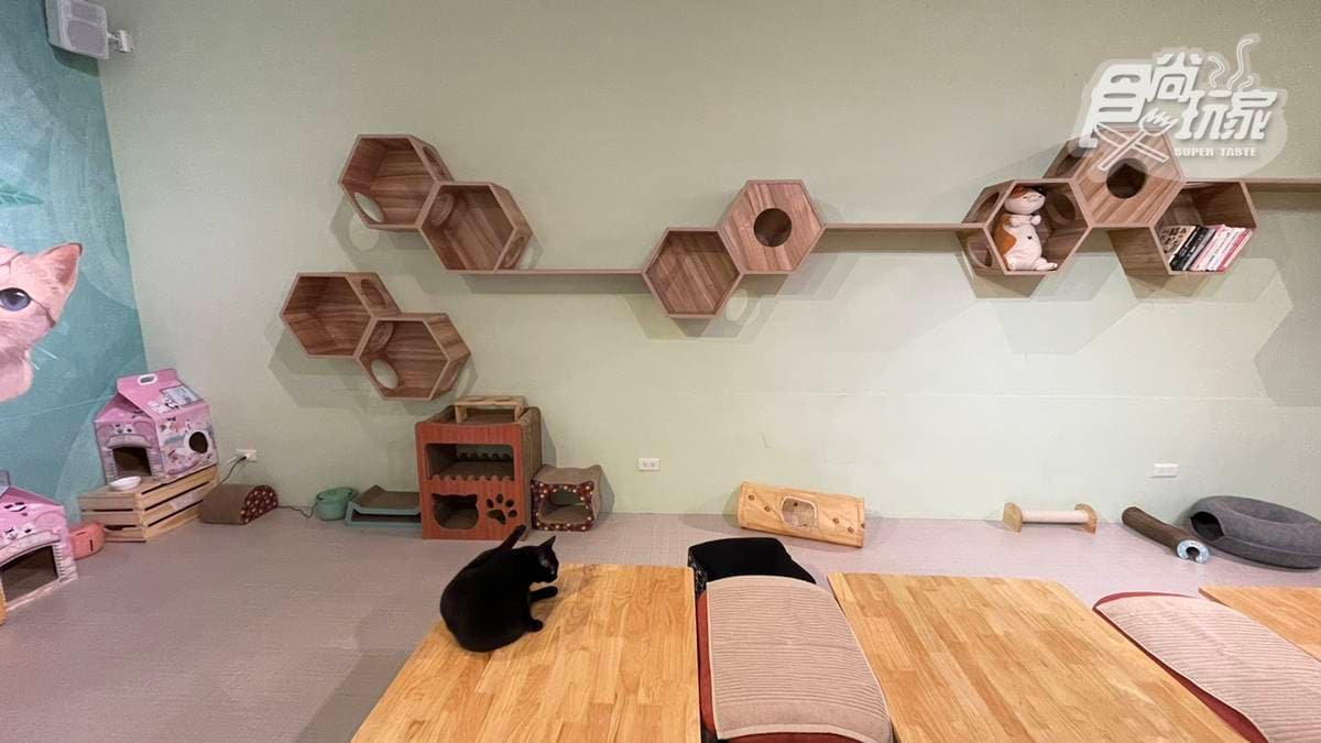 「O CAT CAFÉ」是貓咪咖啡廳，在店內可以看到可愛的貓咪。