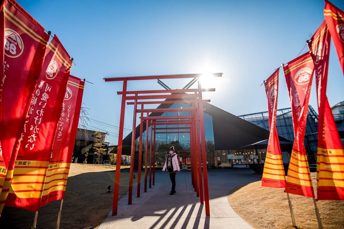 東京最新必朝聖景點！打卡IG暴紅「360度巨型魔法書架」，隱藏版神社也超好拍
