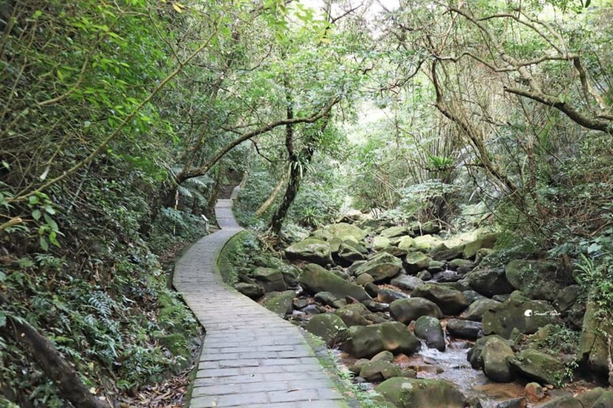 搭捷運就能到!雙北8條消暑系「森林步道」:無敵山景零死角、打卡復古拱橋 搭捷運就能到!雙北8條消暑系「森林步道」:無敵山景零死角、打卡復古拱橋