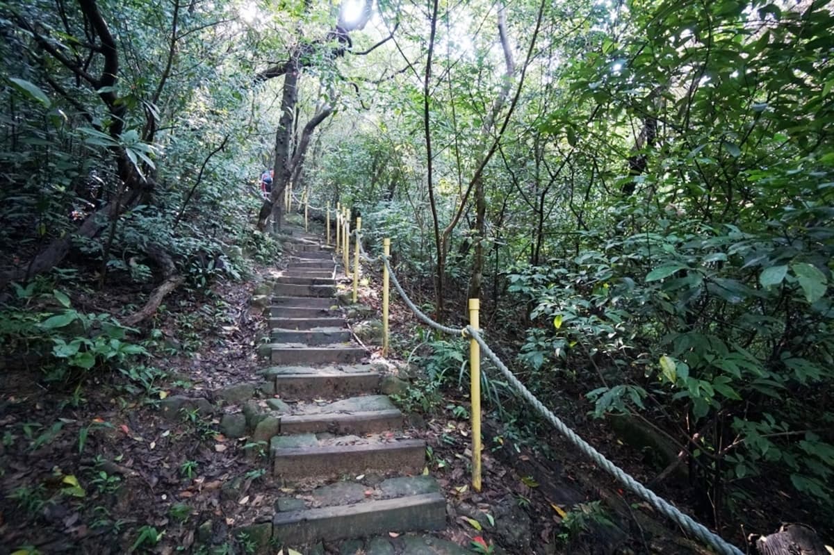 搭捷運就能到!雙北8條消暑系「森林步道」:無敵山景零死角、打卡復古拱橋 搭捷運就能到!雙北8條消暑系「森林步道」:無敵山景零死角、打卡復古拱橋
