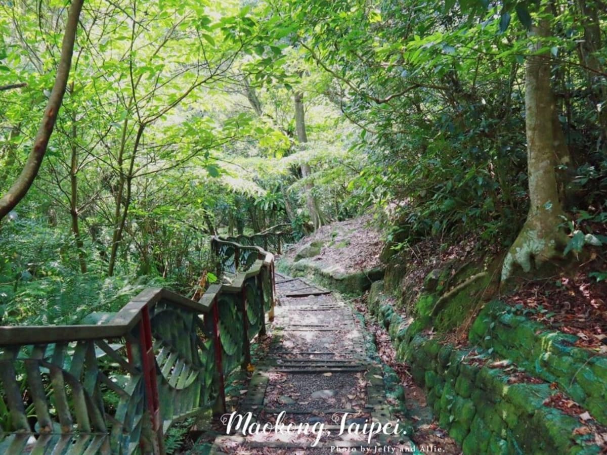 搭捷運就能到!雙北8條消暑系「森林步道」:無敵山景零死角、打卡復古拱橋 搭捷運就能到!雙北8條消暑系「森林步道」:無敵山景零死角、打卡復古拱橋