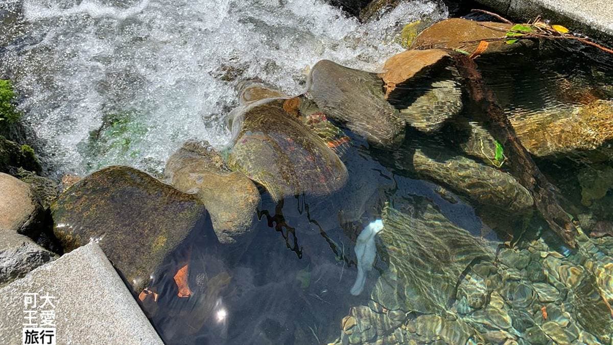 水質乾淨、清澈，溪水濺起晶瑩剔透的水花，觸碰起來非常涼爽。（圖片來源：可大王愛旅行）