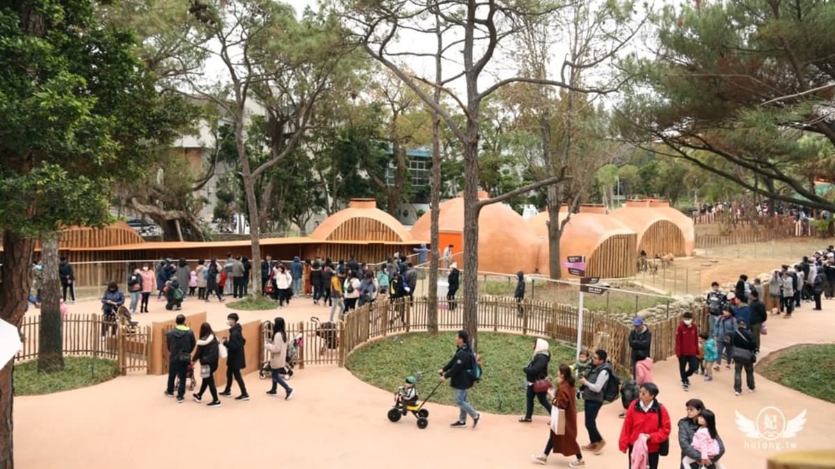 沒有籠子的動物園一眼望去視野超棒，整體環境讓人覺得非常舒服。（圖片來源：珍太妃旅遊親子生活）