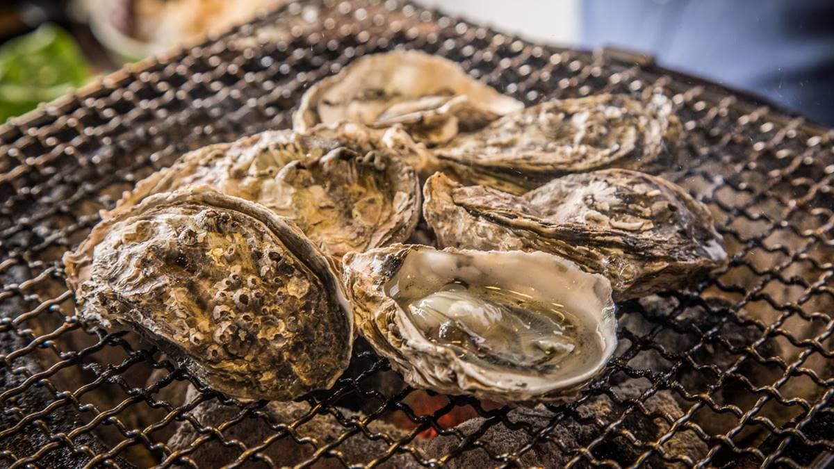 海鮮食材也很強，現流生蠔、韓式牛奶生蠔都吃得到。（圖片來源：大手牽小手。玩樂趣）