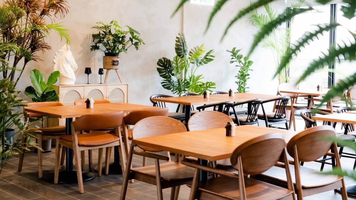 ３樓「沐青」餐廳布滿龜背葉、綠藤等各式植栽。（圖片來源：我不是黃臉婆，我是韓國黃太太。）