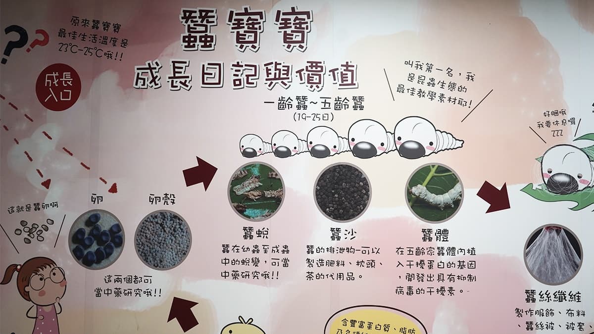 全台最大3D立體彩繪牆!打卡高雄最強「0元室內景點」,還能免費吃下午茶 全台最大3D立體彩繪牆!打卡高雄最強「0元室內景點」,還能免費吃下午茶