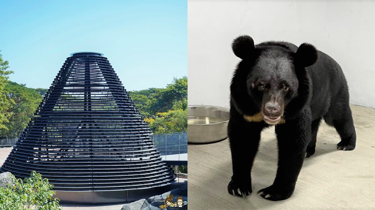 暑假帶小孩放電！必逛「最強動物園」TOP６：全台面積最大、12歲以下免費入園
