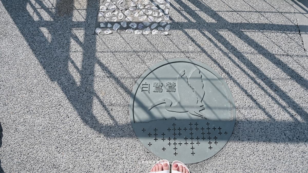據說每年都會有保育鳥類過境，這天我們就看到白鷺鷥也來走步道。（圖片來源：巧莉的世界流浪筆記）