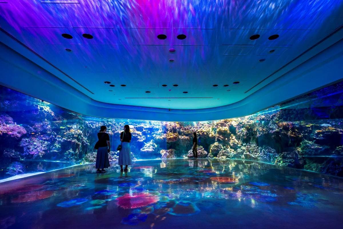 夜訪水族館美炸了!Xpark星光場「這天」開跑,入夜搶拍巨型水槽、門票8折 夜訪水族館美炸了!Xpark星光場「這天」開跑,入夜搶拍巨型水槽、門票8折