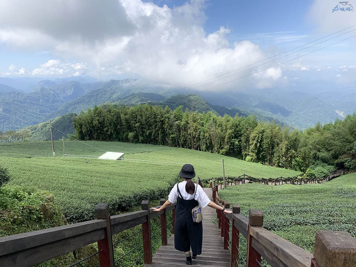 嘉義最消暑玩法!2大瀑布祕境+10條森林步道:阿里山五星級步道、嵐山竹林 嘉義最消暑玩法!2大瀑布祕境+10條森林步道:阿里山五星級步道、嵐山竹林