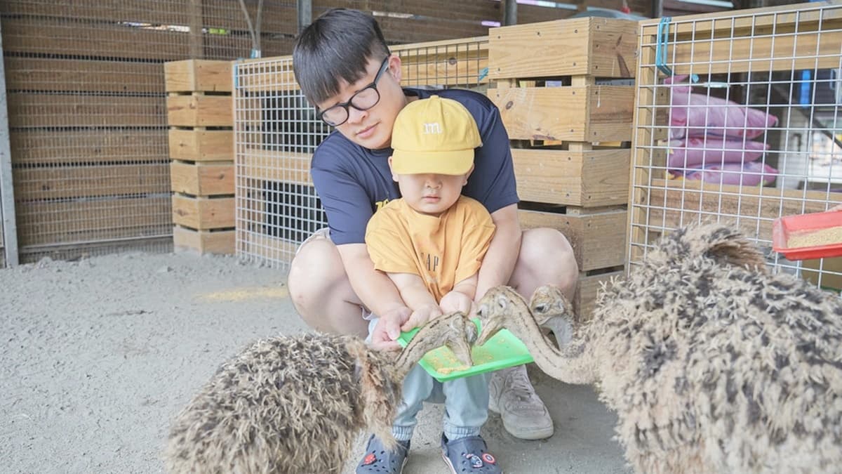 園區有免費提供飼料讓大家可以餵食動物。（圖片來源：優尼太太）